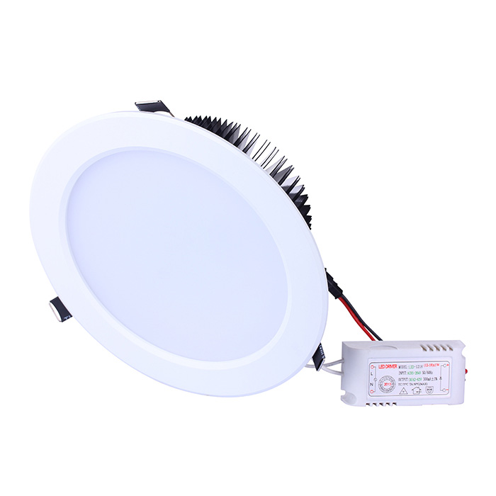 LED Downlight 24W